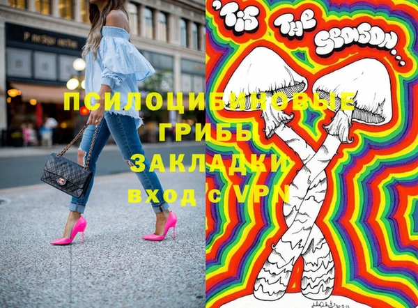 трава Няндома