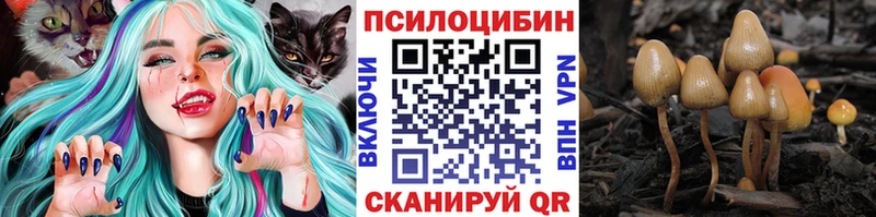 дарнет шоп  Ахтубинск  Псилоцибиновые грибы Psilocybine cubensis 