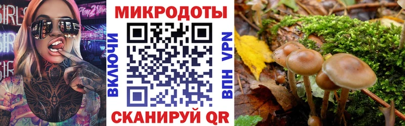 Галлюциногенные грибы прущие грибы Ахтубинск