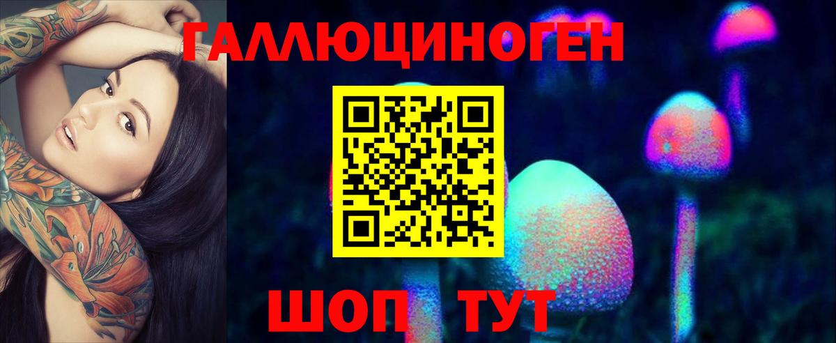 Псилоцибиновые грибы Magic Shrooms  Ахтубинск 